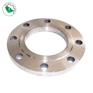 GI Flange