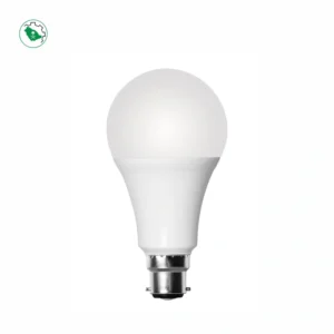Light Bulb