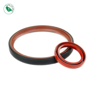 Oil Seal