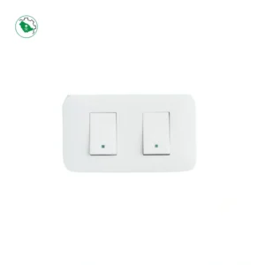 Switch